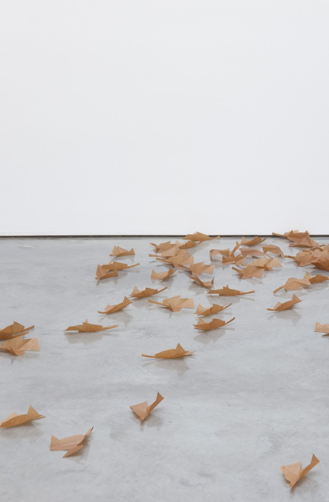 Martin Boyce - Evaporated Pools.